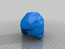 Elvis Sculpt