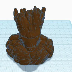 Groot Head