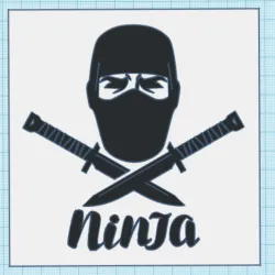 NINJA BOX 3D