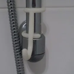 Shower hook