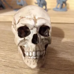 Skull design