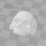 Skull nut cover