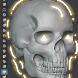 Skull