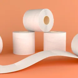 3D Printed Toilet Roll