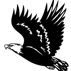 aigles,