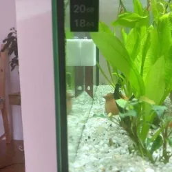 Aquarium Magnetic Scraper