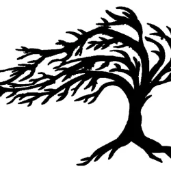 arbre,vent