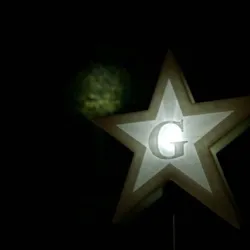 Blazing Star Lamp - or Tree Topper