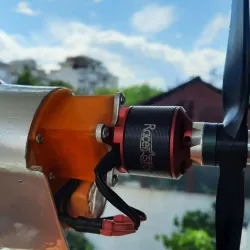 Brushless motor mount