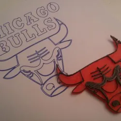 Chicago Bulls Logo