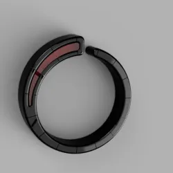Chrome Black ring with an embedded ruby