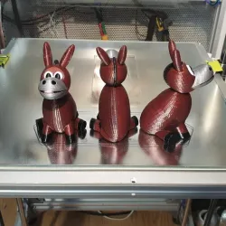 donkey donkey