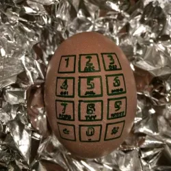 EiPhone - Eggbot-Design