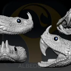 Gaboon Head