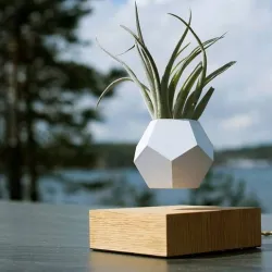 Levitating Planter