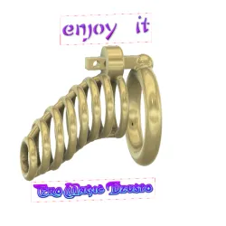 Male Chastity Device Cock Cage Penis Ring  Virginity Lock Chastity Belt Adult Game Sex Toy locker v53 3d print and cnc