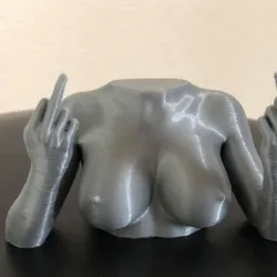 Nude Bust with middle finger sign