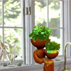 plant sitter