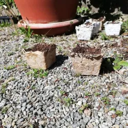 Recycled cardboard pot mold