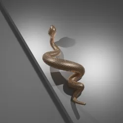 Snake Door Handle