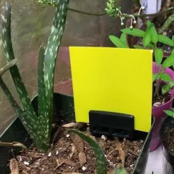 Sticky trap holder