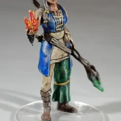 1-53 - Half Elf Wizard