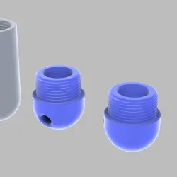Anal capsule