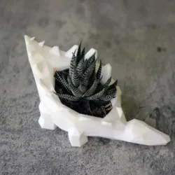 Cactus Pot Planter Dinosaur Stegosaurus Low poly