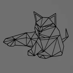 cat - cat - 2D
