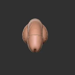 Day 5