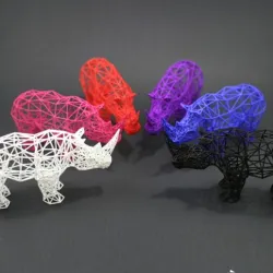 DIGITAL SAFARI - Rhino