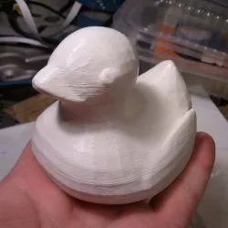 Ducky Swimming - Voice enabled version
