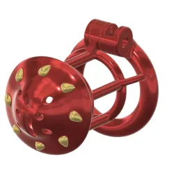 exclusive Male Chastity Device Cock Cage Penis Ring  Virginity Lock Chastity Belt Adult Game Sex Toy locker v69 3d print and cnc