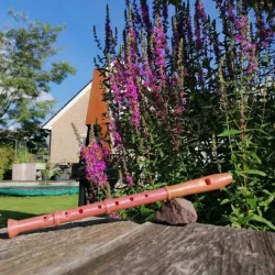 Flute- recorder