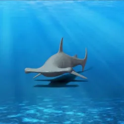 Hammerhead Shark