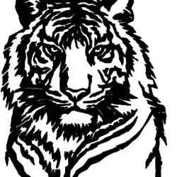 Head, tiger head.
