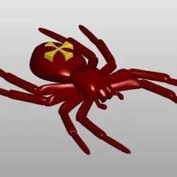 Kreuzspinne