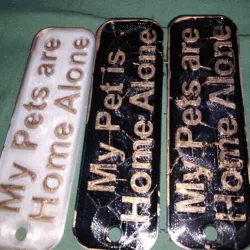 My Pets are Home Alone Keychain