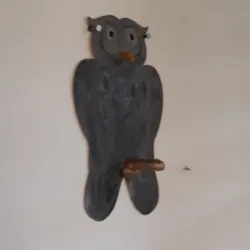 Owl with penis