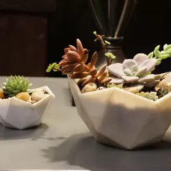 Penta Pot