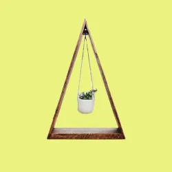 Planter Levitation Plants