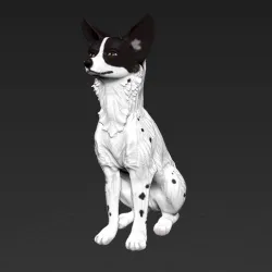 Sitting Basenji Dog African canine model