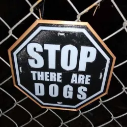 STOP there are DOGS SIGN 2
