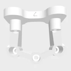 TLR 22x4 Wing mount