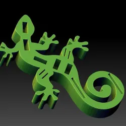 USB/SD Gecko