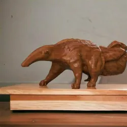 Anteater