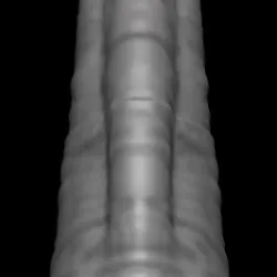 big elephant dick