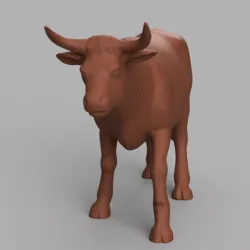 Bull bull