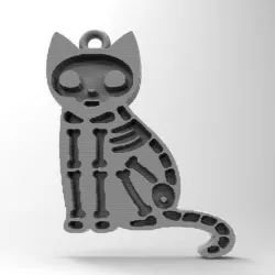 cat skeleton