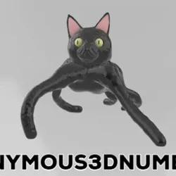 Cat Spider???